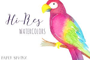 Watercolor Tropical Clipart Pack