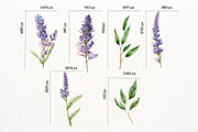 Butterfly Watercolor Floral Clipart, a Decorative Illustration by ClipArtRoom (Thumbnail 3 of 5)