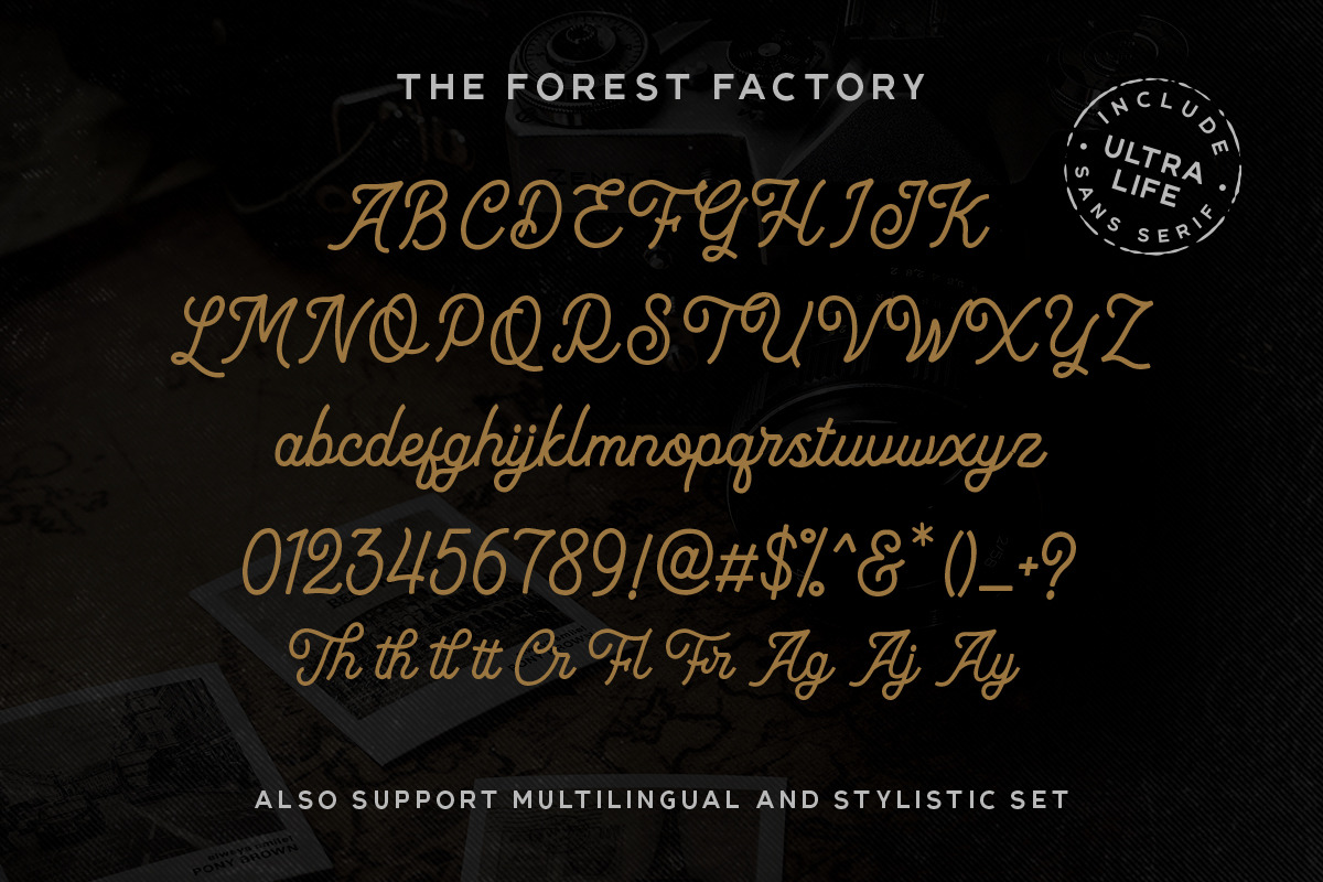 The Forest Factory + Bonus !, a Script Font by IronbirdCreative (Photo 10 of 11)