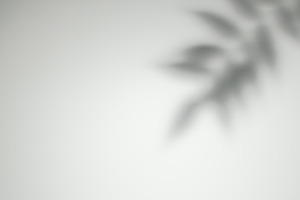Shade light floral shade exotic nature foliage, a Background Photo by Photo Drive Studio
