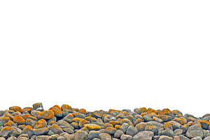 Natural mossy stones isolated, a Nature Photo by BOOCYS