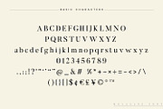 Molagane | Fancy Serif Typeface, a Serif Font by Qaratype (Thumbnail 24 of 26)