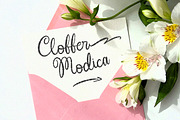Garitha Complitten| 3 Style + Swash, a Script Font by IM Studio (Thumbnail 5 of 10)