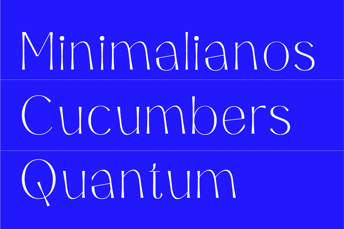 Aeglar Display, a Serif Font by Portion.Labs (Photo 8 of 12)