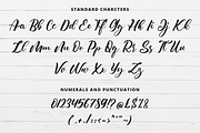 Shutter Times Font, a Script Font by Fatmawati (Thumbnail 10 of 12)