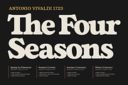 Fedro - 14 Fonts, a Serif Font by Nasir Udin (Thumbnail 19 of 20)