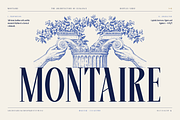 Montaire - Old Money Serif, a Serif Font by HipFonts (Thumbnail 2 of 20)