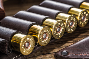 Hunting cartridge for pump shotgun on the wooden table., a Sports & Recreation Photo by Volff