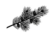 Floral Ornament Silhouette Bundle, an Illustration by BIPLOB EXPERT (Thumbnail 25 of 51)