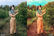 Steal Film Cinematic LR Presets, a Preset Add-On by AAA Presets (Thumbnail 5 of 22)