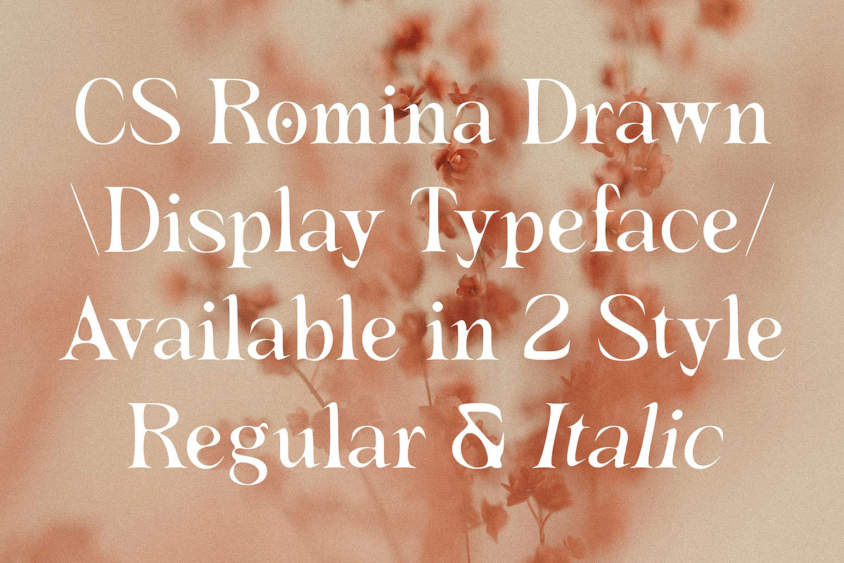 CS Romina Drawn, a Serif Font by Craft Supply Co. (Photo 2 of 8)
