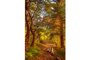 Beautiful autumn landscape, a Nature Photo by Nature and travel