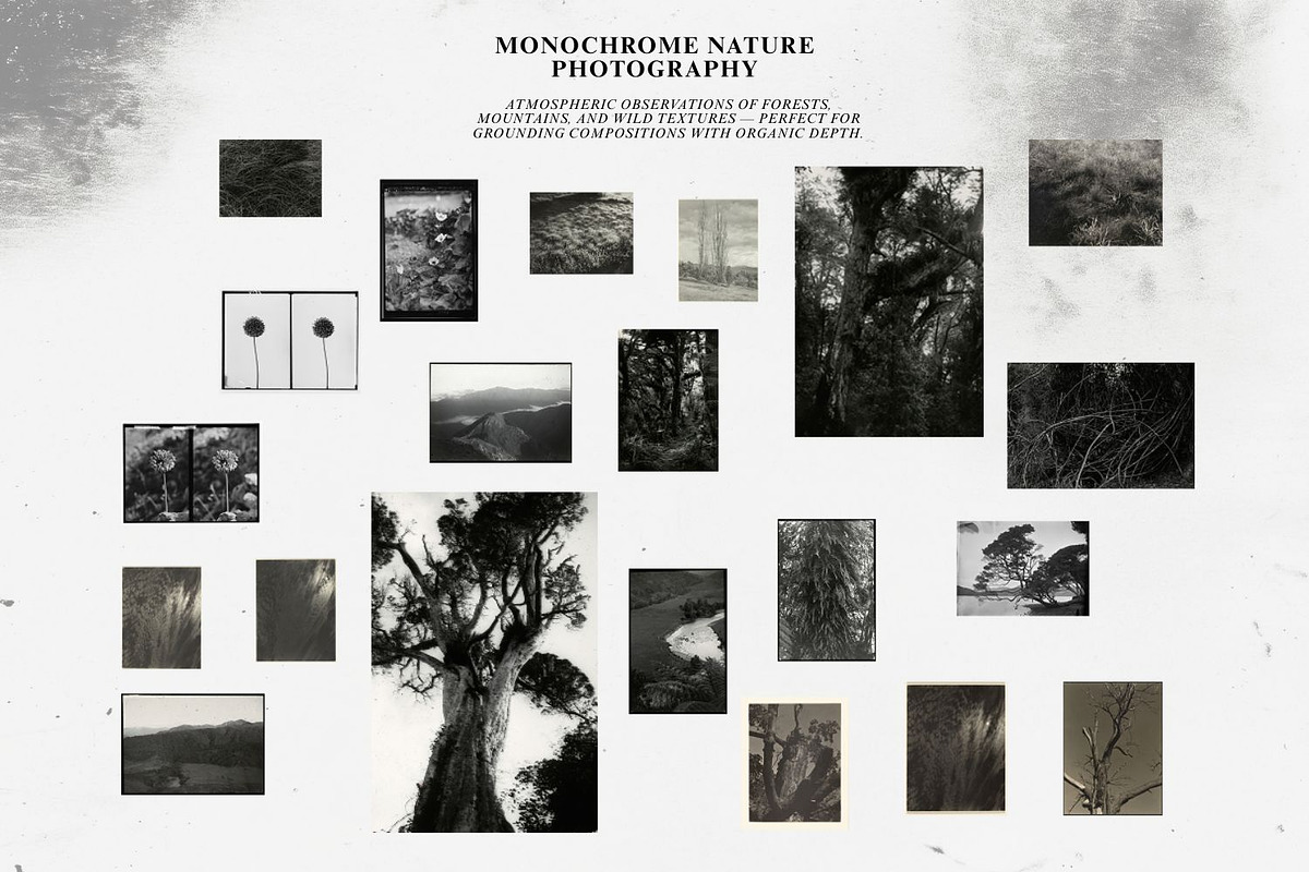 Mystic Botanical & Nature Relics, an Object Graphic by Natali Batu (Photo 9 of 12)