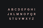 Yahya Slab Serif Font Family, a Slab Serif Font by Creativetacos (Thumbnail 2 of 12)