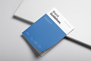 Brand Guidelines Template, a Brochure Template by DesignCrest (Thumbnail 2 of 14)