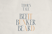 Thorn & Tale – A Refined Serif Font, a Serif Font by VP Fonts (Thumbnail 25 of 30)