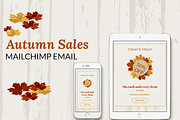 Autumn Sales Mailchimp Eblast, an Email Template by Khryna Designs (Thumbnail 1 of 2)