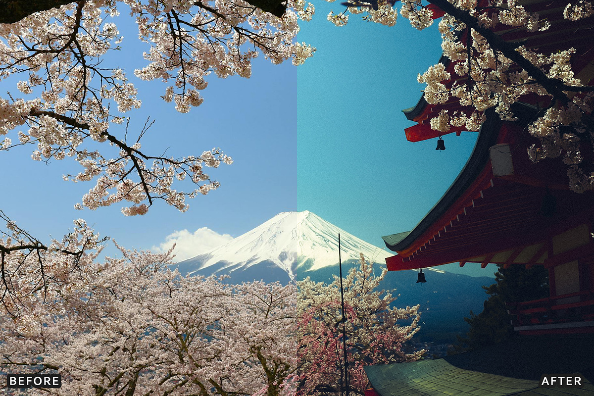 Ai Cherry Blossom Lightroom Presets, a Brushes & More by AAA Presets (Photo 9 of 13)