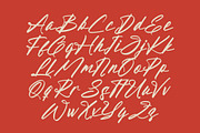Aleghtoz Mountain Modern Script Font, a Script Font by stylishtype.co (Thumbnail 13 of 20)
