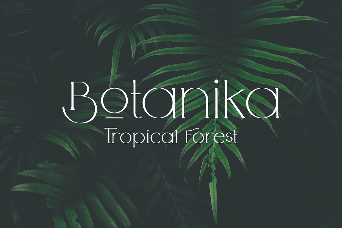 Arrogant Font, a Serif Font by Graphicdome (Photo 14 of 24)