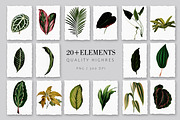 Tropical Dark, a Pattern Graphic by Luiz da Rolt Grathwohl (Thumbnail 2 of 10)