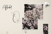 Olivia, an Object Graphic by Blossom (Thumbnail 2 of 6)