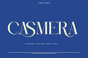 Casmera - Elegant Ligature Serif, a Serif Font by Font Liner (Thumbnail 1 of 14)