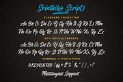 Srinthile Script, a Script Font by Almeera Std (Thumbnail 3 of 11)