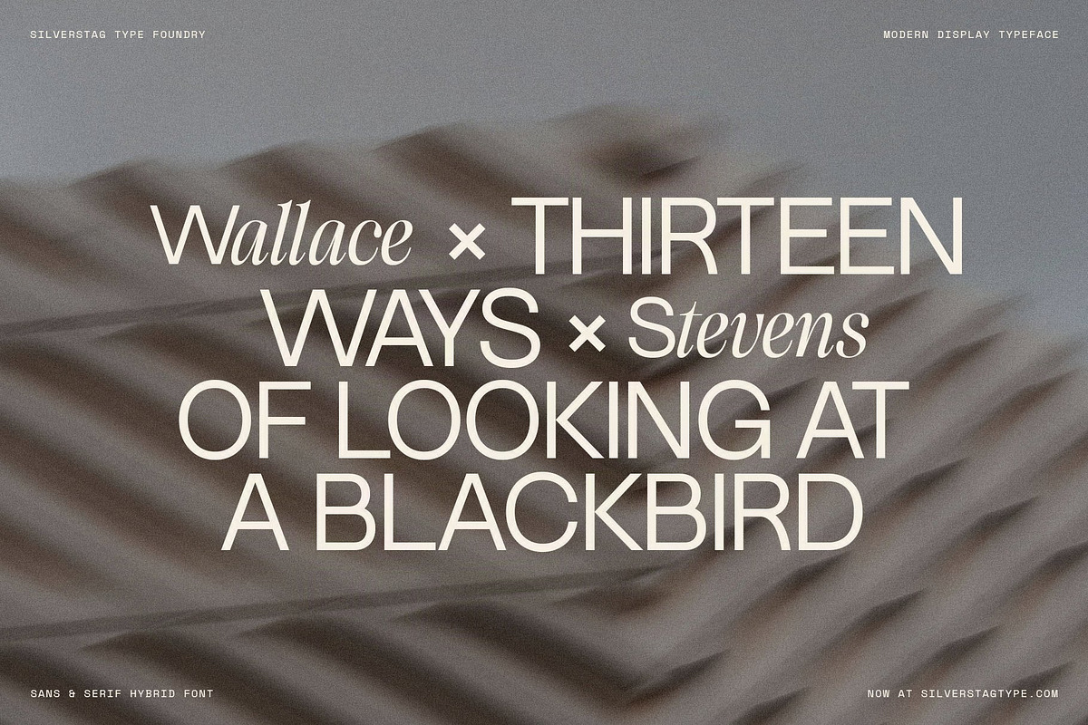 Dessign Maison - Hybrid Display Font, a Serif Font by SilverStag Type Foundry (Photo 8 of 18)