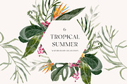 TROPICAL SUMMER- Exotic flora set, a Decorative Illustration by Grace Noboa Illustrations (Thumbnail 6 of 10)