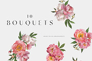 Peony watercolor clipart & patterns, a Decorative Illustration by Diana Askarova Art (Thumbnail 3 of 11)