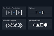 Herald News — Editorial Font, a Serif Font by Kevin Foley Fonts (Thumbnail 14 of 14)