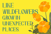 Yewhurst - Serif Typeface Font, a Serif Font by Rishsketch (Thumbnail 7 of 15)