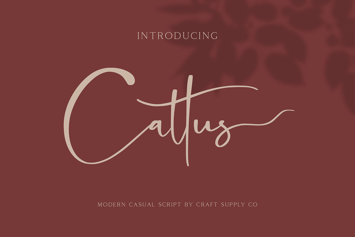 Cattus - Modern Casual Script Font