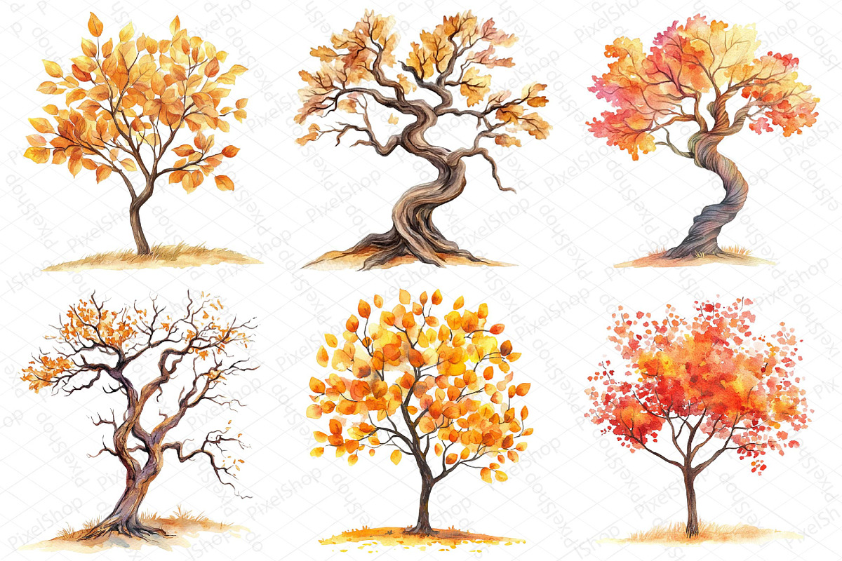 Watercolor Fall Autumn Tree Clipart, an Illustration by DreamPrint404 (Photo 6 of 6)