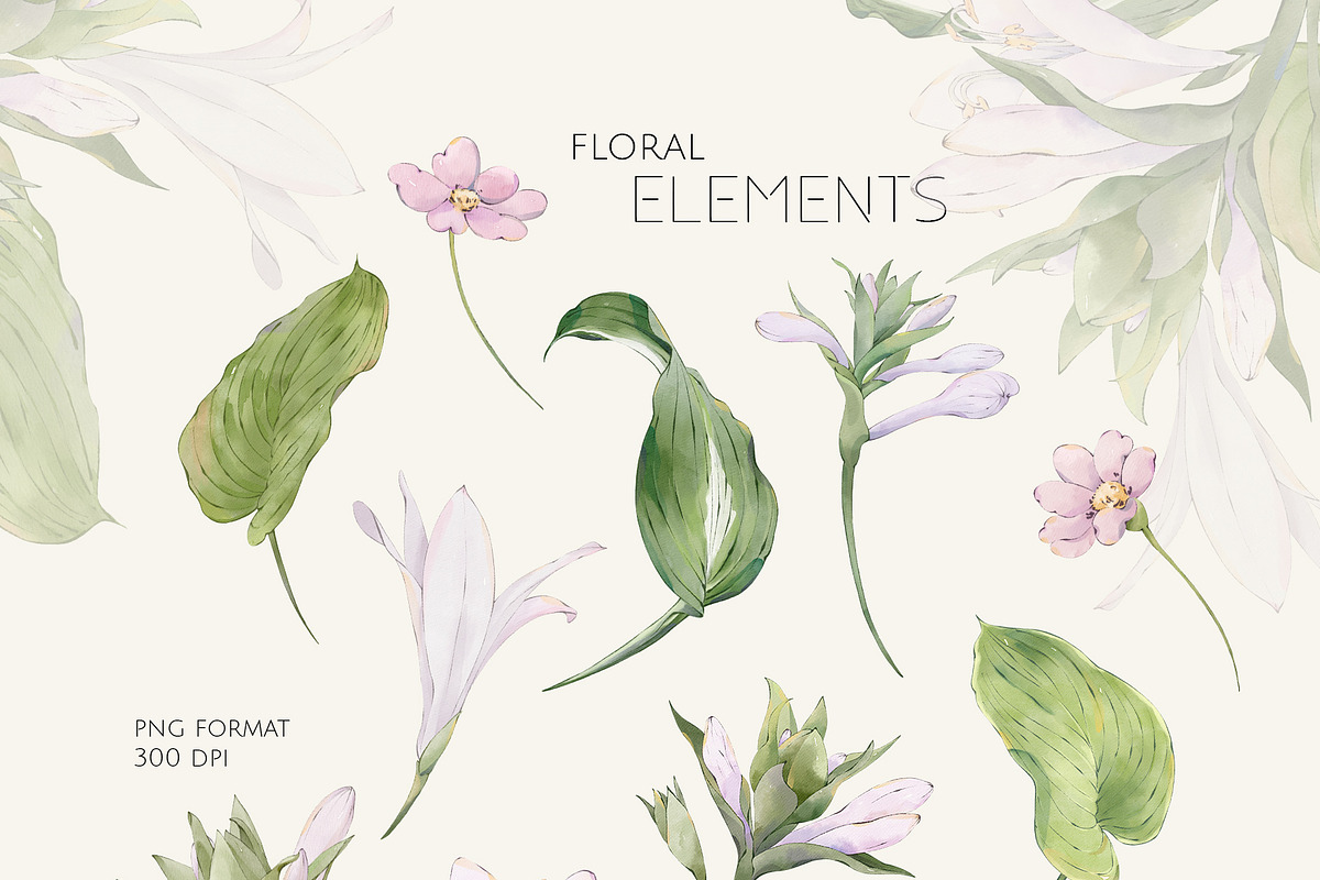 HOSTA watercolor floral set, a Decorative Illustration by Yuliia Lashevska (Photo 9 of 12)
