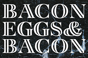 Taurus -high class serif, a Serif Font by Fenotype (Thumbnail 7 of 9)