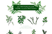 Watercolor Herb Collection, an Illustration by One and Only Paper (Thumbnail 3 of 7)
