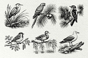 Vintage Bird Line Art Graphics, an Animal Illustration by DENIDigitalArtSudio (Thumbnail 2 of 7)