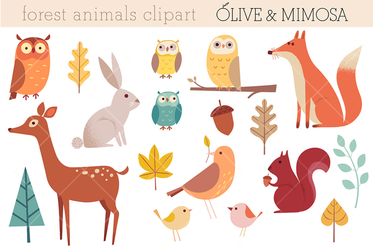 Forest animals set, an Animal Illustration by Olive & Mimosa