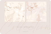 Beige botanical pattern collection, a Pattern Graphic by Anna Sokol (Thumbnail 6 of 16)