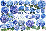 Blue Hydrangea Watercolor Clipart, an Illustration by Sublimation Artist (Thumbnail 1 of 6)