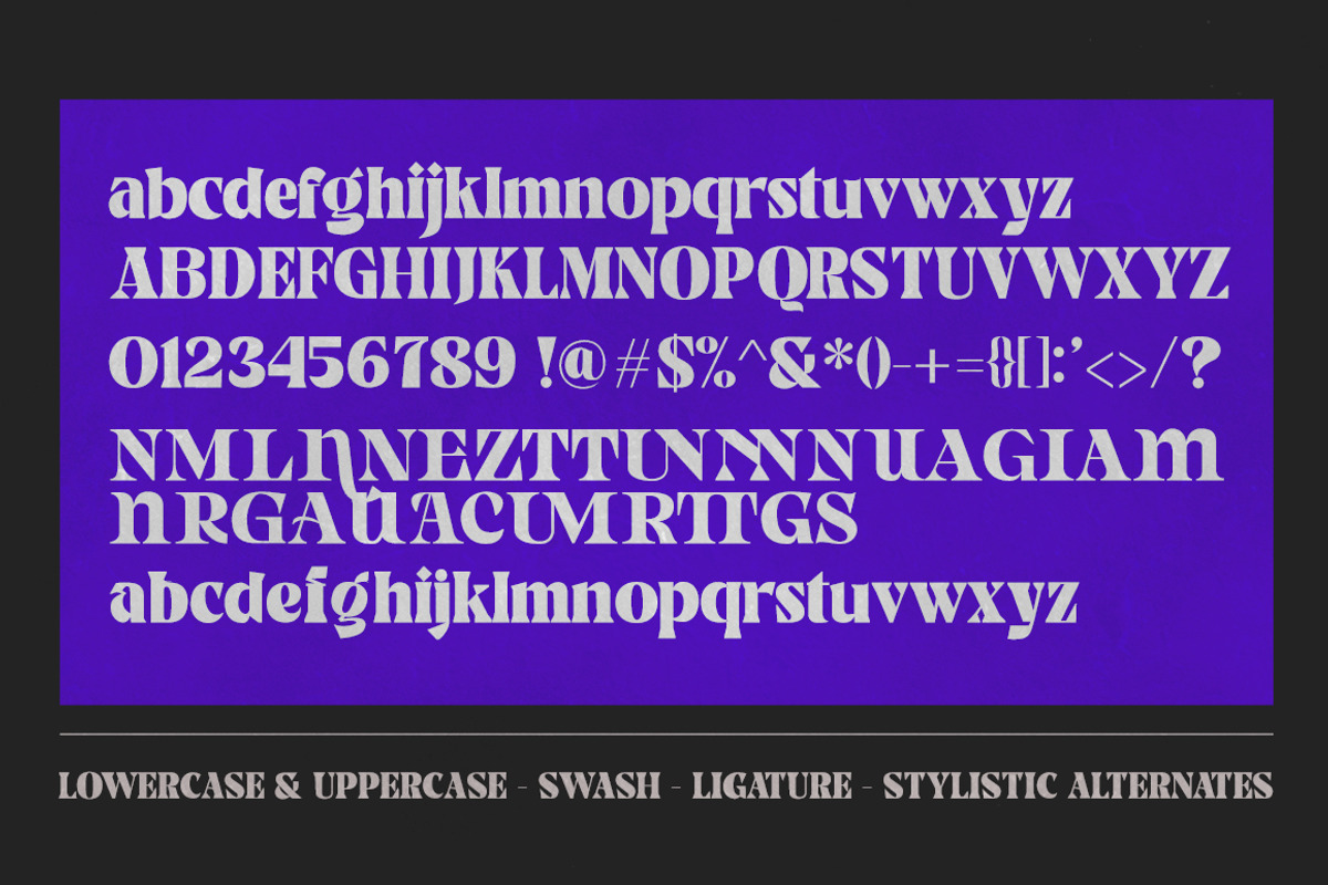 Gimela, a Serif Font by Gatype (Photo 10 of 10)