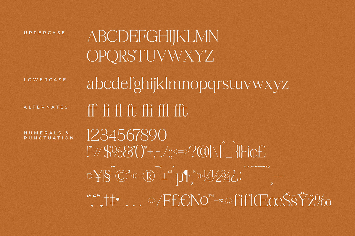 Realife Moment Modern Serif Font, a Serif Font by Letterena Studios (Photo 13 of 15)