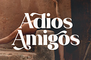 California Paradise Modern Serif, a Serif Font by Storytype Studio (Thumbnail 15 of 15)