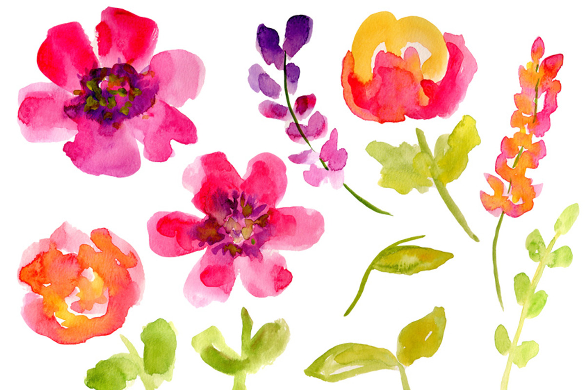 Modern Floral Watercolor Flowers, an Illustration by Sandra Jones Art (Photo 3 of 4)