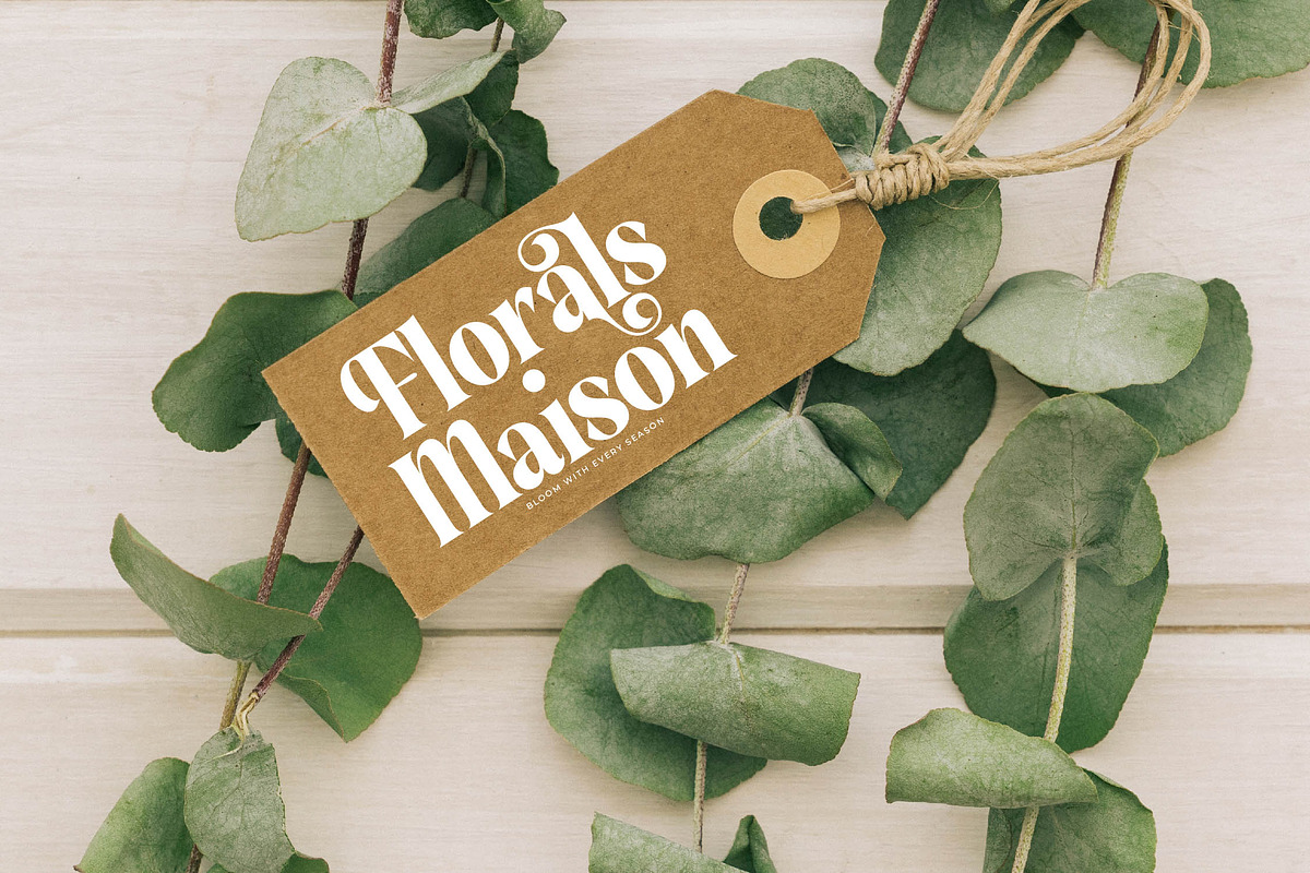 Sunday Mirage Modern Serif Font, a Script Font by timelesstype.co (Photo 13 of 20)