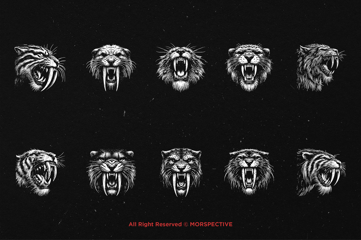 10 Bundle Dark Art Sabertooth, an Illustration by Morspective (Photo 6 of 7)