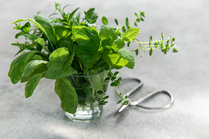 Fresh herbs bouquet in glass with scissors, a Food & Drink Photo by Olena Rudo