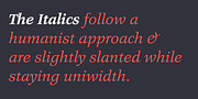 Legit Serif, a Serif Font by Finaltype (Thumbnail 5 of 11)